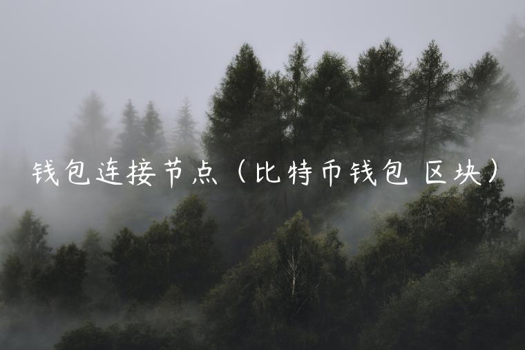 钱包连接节点（比特币钱包 区块）-第1张图片-binance下载