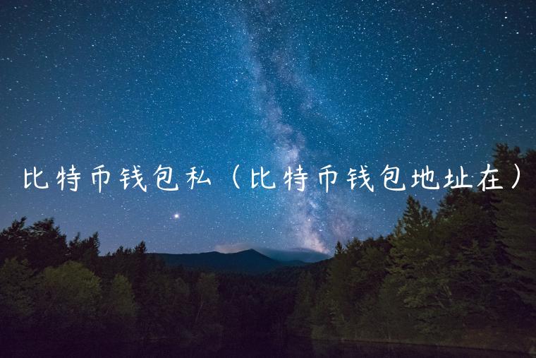 比特币钱包私（比特币钱包地址在）-第1张图片-binance下载