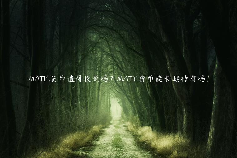 MATIC货币值得投资吗？MATIC货币能长期持有吗！-第1张图片-binance下载