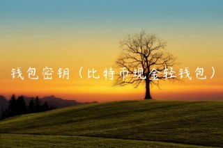钱包密钥（比特币现金轻钱包）