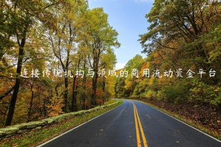 ：连接传统机构与领域的商用流动资金平台
