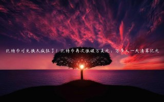 比特币可兑换太疯狂了！比特币再次涨破万美元：万多人一天清算亿元