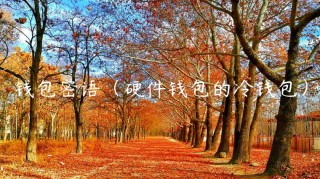 钱包密语（硬件钱包的冷钱包）