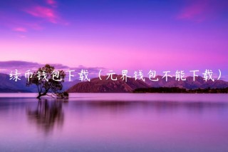 绿币钱包下载（元界钱包不能下载）