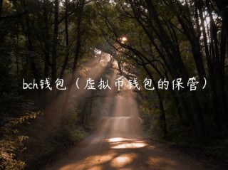 bch钱包（虚拟币钱包的保管）