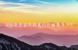 BNB货binance币的发行价格是多少？