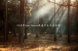 CLR币Clr Ntwork是波卡生态项目吗！