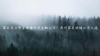 富比士公布全球强科技金融公司！共计家区块链公司入选