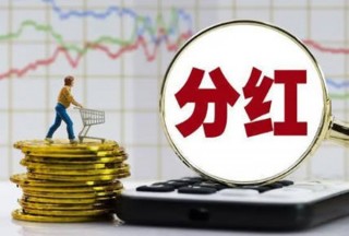 基金为什么不分红