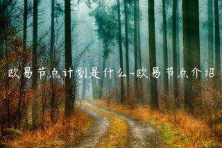 binance节点计划是什么-binance节点介绍
