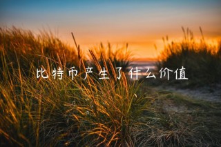 比特币产生了什么价值