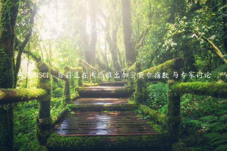 明晟MSCI：目前正在考虑推出加密货币指数 与专家讨论-第1张图片-binance下载