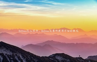 Bitfin怎么买币，Bitfin交易平台使用详细的教程