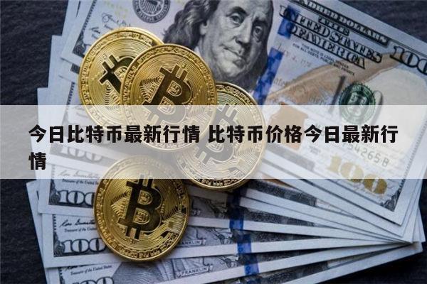 国内虚拟货币有哪些 炒币合法吗-第1张图片-binance下载