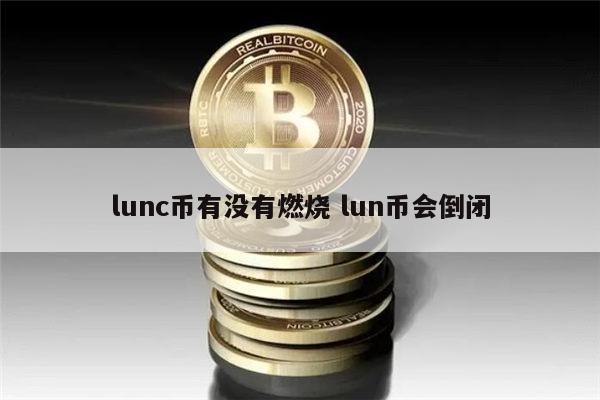lunc币何时开启燃烧计划 lunc能涨到1美元吗-第1张图片-binance下载