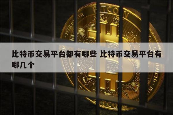 比特币交易平台都有哪些 比特币交易平台有哪几个安全-第1张图片-binance下载