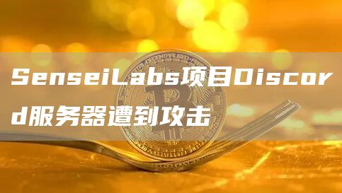 SenseiLabs项目Discord服务器遭到攻击-第1张图片-binance下载