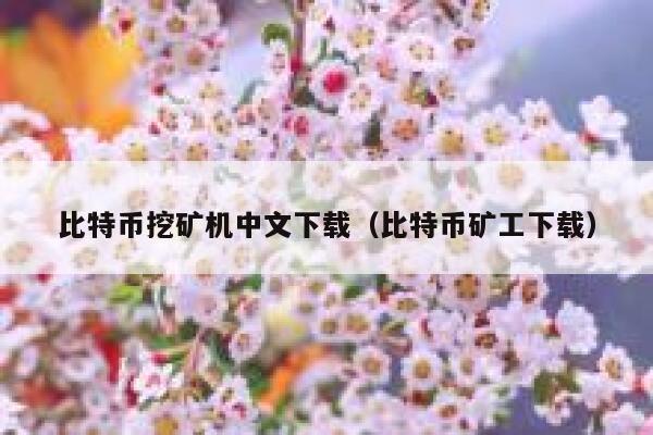 比特币挖矿机中文下载（比特币矿工下载）-第1张图片-binance下载