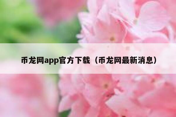 币龙网app官方下载（币龙网最新消息）-第1张图片-binance下载