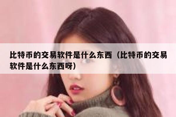 比特币的交易软件是什么东西（比特币的交易软件是什么东西呀）-第1张图片-binance下载