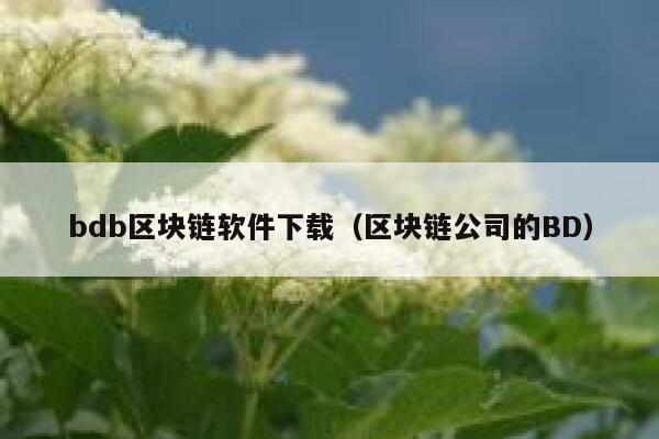 bdb区块链软件下载（区块链公司的BD）-第1张图片-binance下载