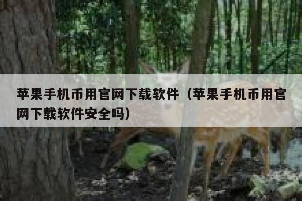 苹果手机币用官网下载软件（苹果手机币用官网下载软件安全吗）-第1张图片-binance下载