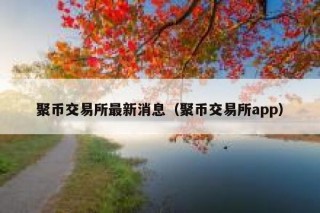 聚币交易所最新消息（聚币交易所app）
