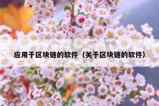 应用于区块链的软件（关于区块链的软件）