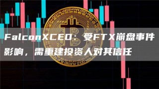 FalconCEO：受FT崩盘事件影响，需重建投资人对其信任