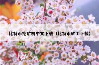 比特币挖矿机中文下载（比特币矿工下载）