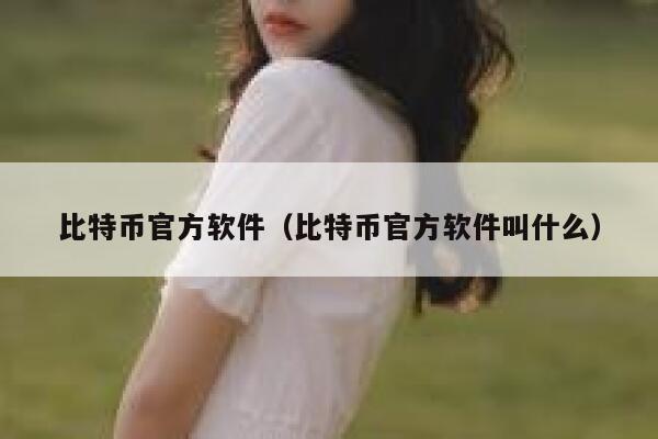 比特币官方软件（比特币官方软件叫什么）-第1张图片-binance下载