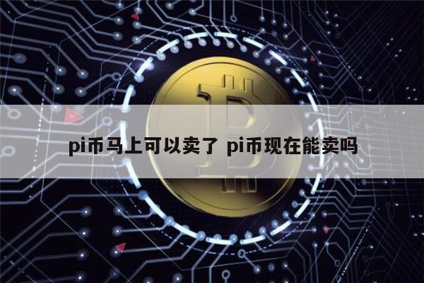 pi币可以卖了吗 pi币现在能出售吗-第1张图片-binance下载
