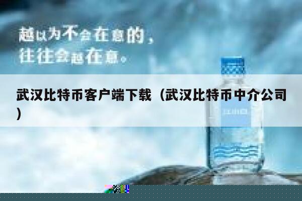 武汉比特币客户端下载（武汉比特币中介公司）-第1张图片-binance下载