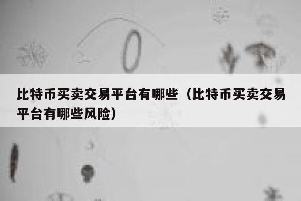 比特币买卖交易平台有哪些（比特币买卖交易平台有哪些风险）-第1张图片-binance下载