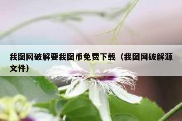 我图网破解要我图币免费下载（我图网破解源文件）-第1张图片-binance下载