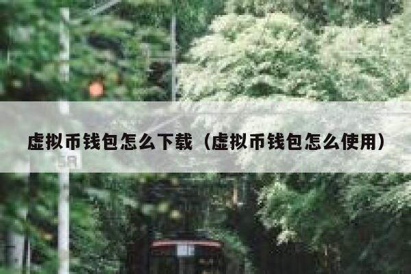 虚拟币钱包怎么下载（虚拟币钱包怎么使用）-第1张图片-binance下载