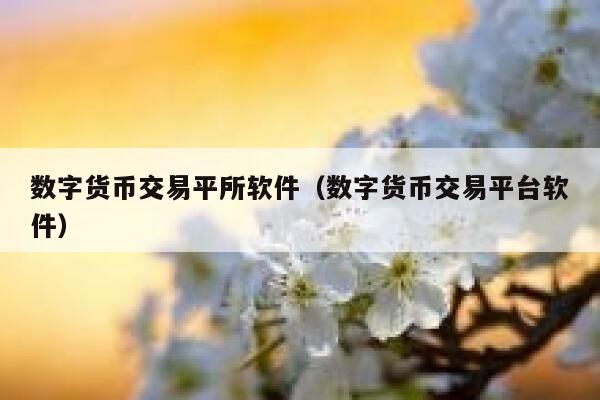 数字货币交易平所软件（数字货币交易平台软件）-第1张图片-binance下载