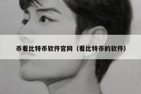 币看比特币软件官网（看比特币的软件）-第1张图片-binance下载