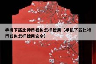 手机下载比特币钱包怎样使用（手机下载比特币钱包怎样使用安全）