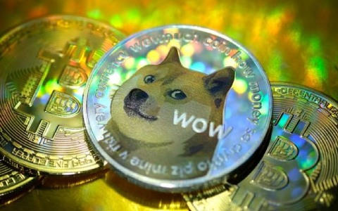 2023狗狗币还能投资吗 狗狗币能到1美元吗-第1张图片-binance下载