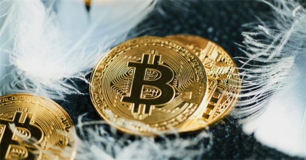 RBN币今日最新价格行情-第1张图片-binance下载