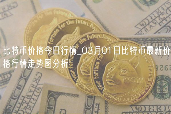 比特币价格今日行情_03月01日比特币最新价格行情走势图分析-第1张图片-binance下载