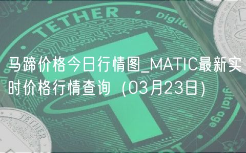 马蹄价格今日行情图_MATIC最新实时价格行情查询（03月23日）-第1张图片-binance下载