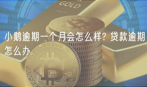 小鹅逾期一个月会怎么样? 贷款逾期怎么办-第1张图片-binance下载