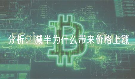 分析：减半为什么带来价格上涨-第1张图片-binance下载