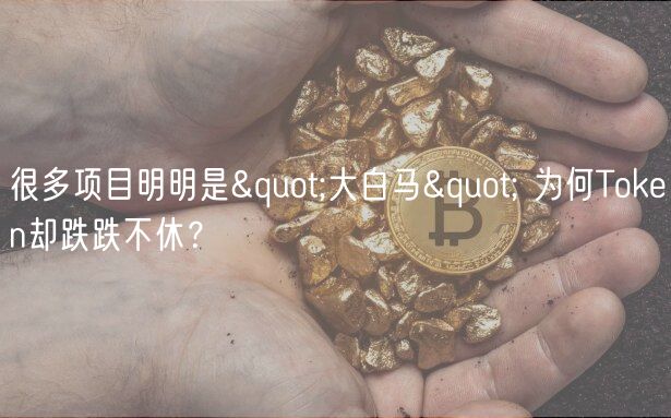 很多项目明明是&quot;大白马&quot; 为何Token却跌跌不休？-第1张图片-binance下载
