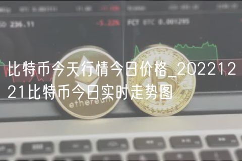 比特币今天行情今日价格_20221221比特币今日实时走势图-第1张图片-binance下载
