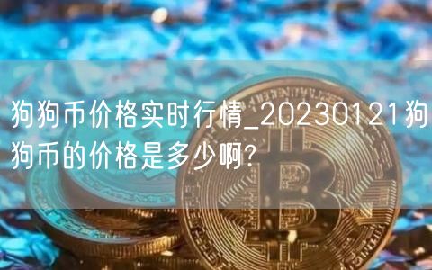 狗狗币价格实时行情_20230121狗狗币的价格是多少啊?-第1张图片-binance下载