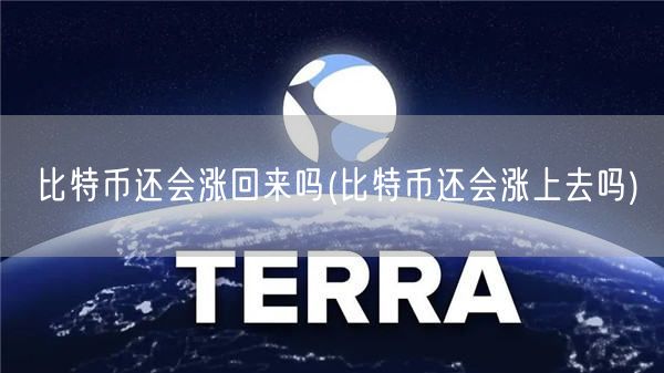 比特币还会涨回来吗(比特币还会涨上去吗)-第1张图片-binance下载