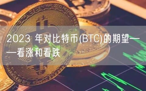 2023 年对比特币(BTC)的期望——看涨和看跌-第1张图片-binance下载